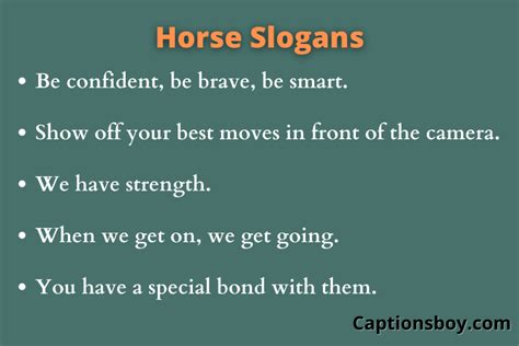 equestrian slogan